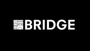 BRIDGE BUILDING BLOCK