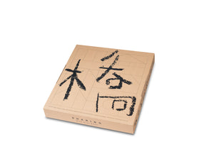 BRIDGE BUILDING BLOCK